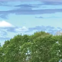 信濃屋の新和牛体験
