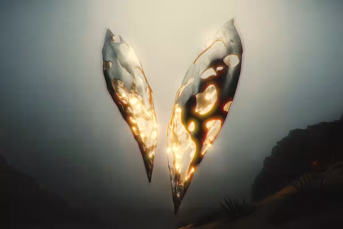 画像11