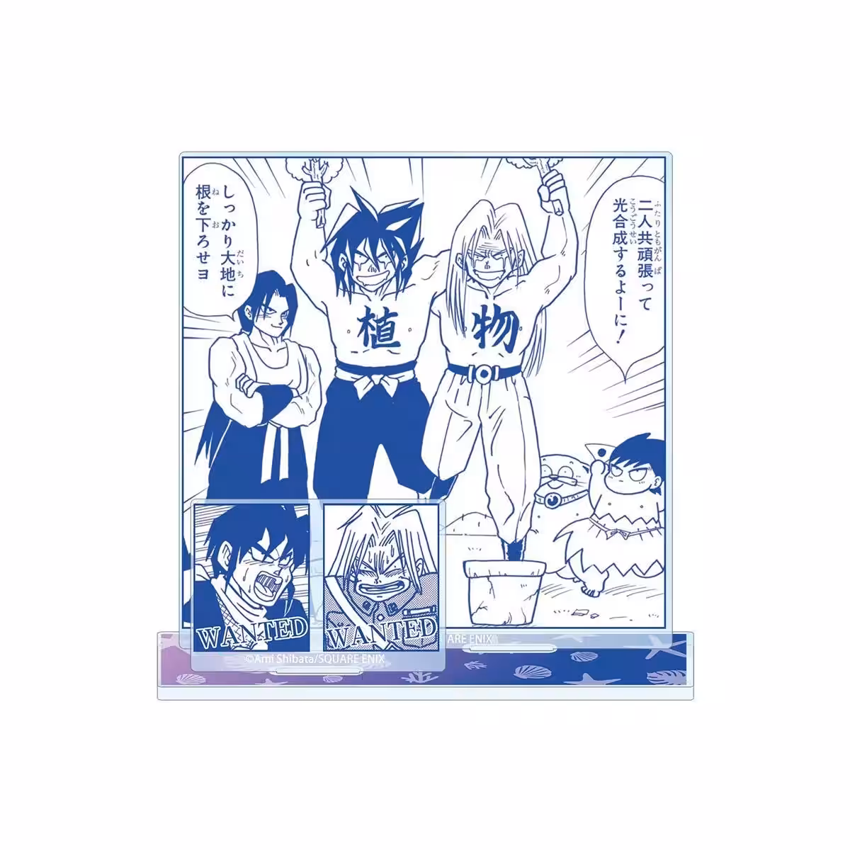 画像9