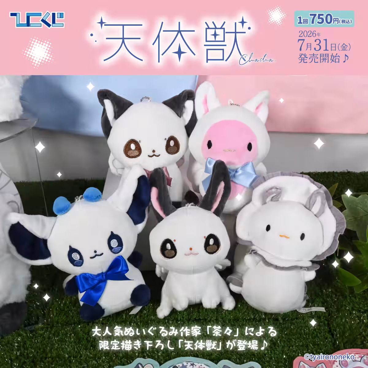 画像7