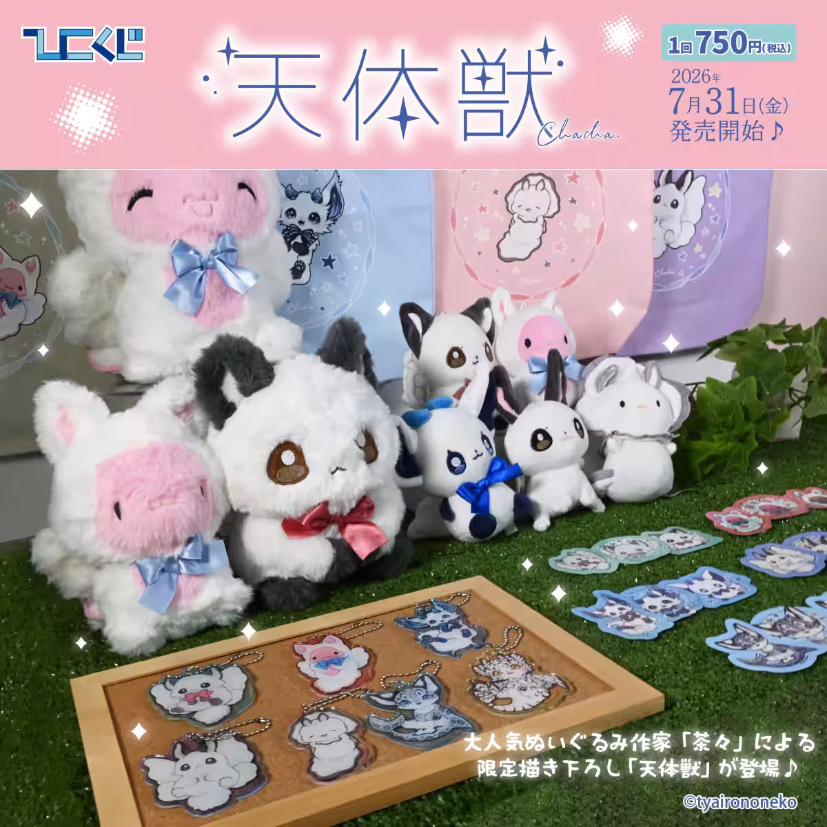 画像14