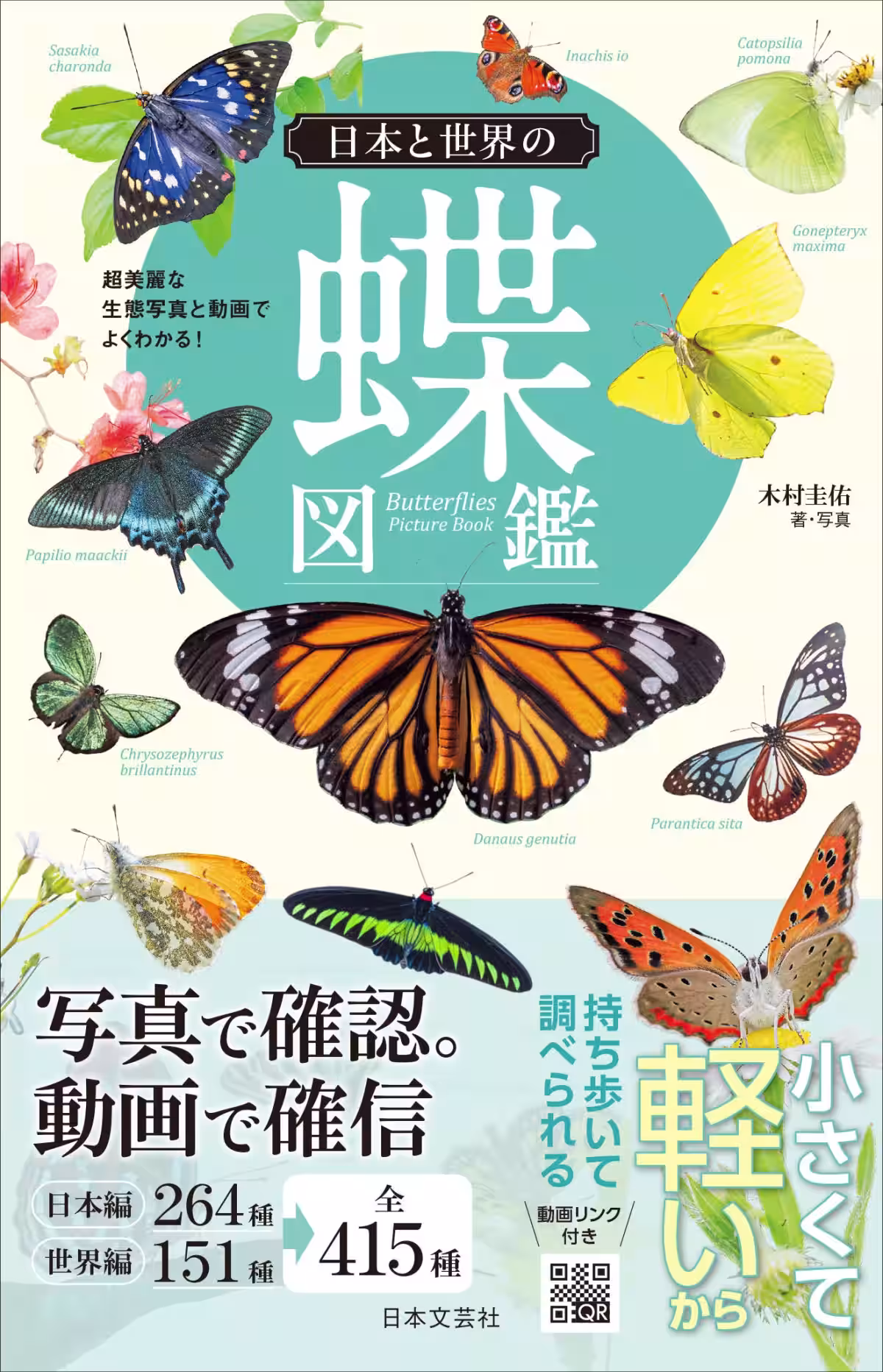 画像1