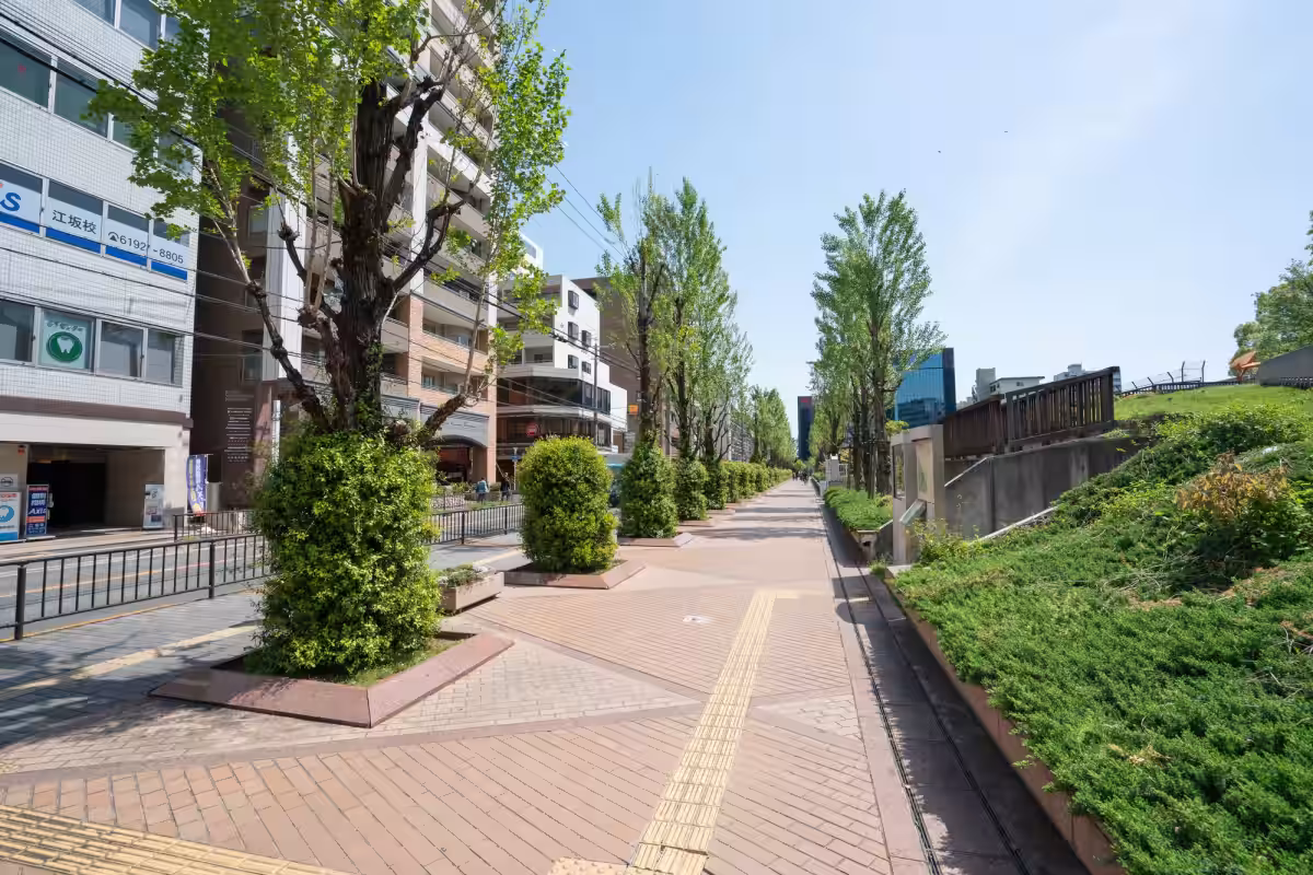 画像6