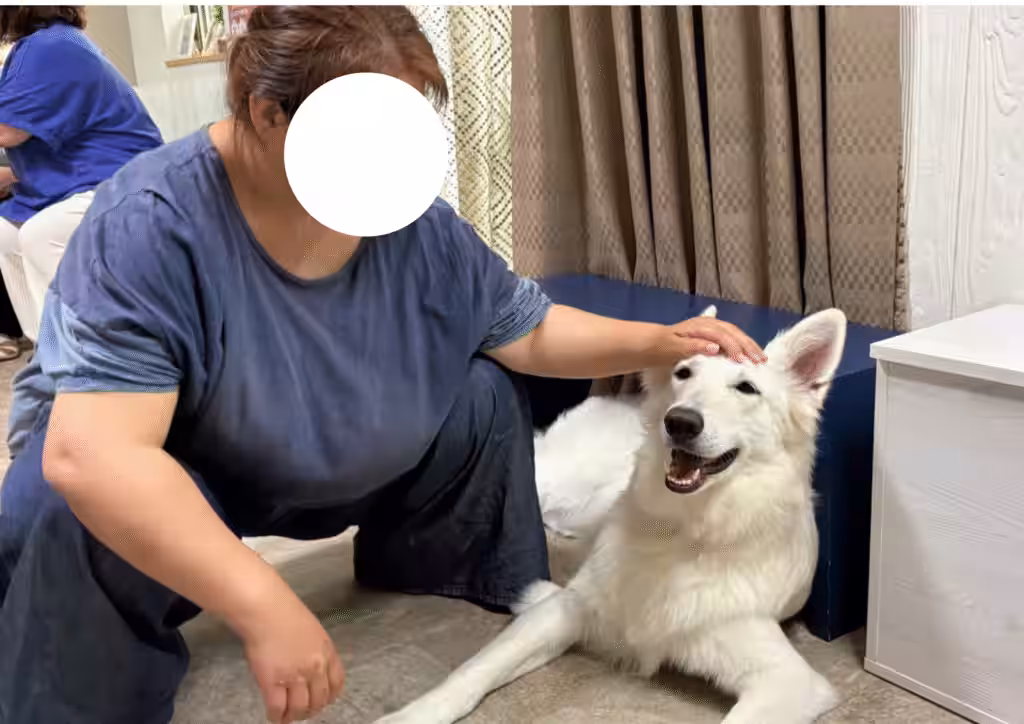 画像2