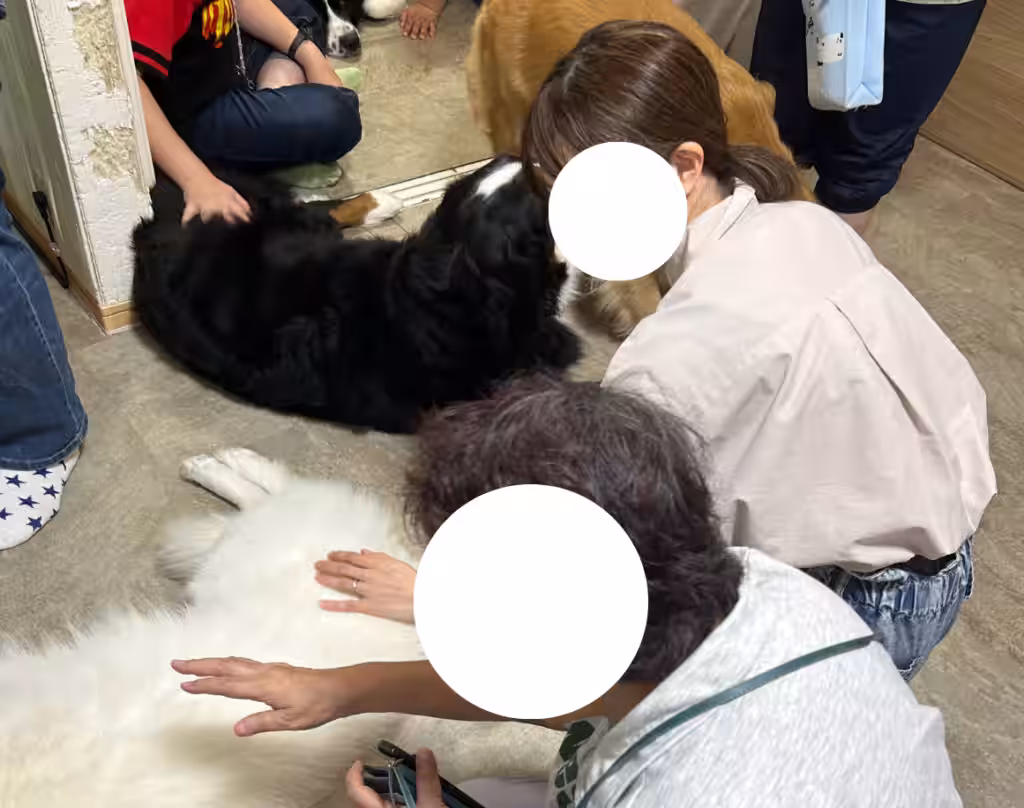 画像3