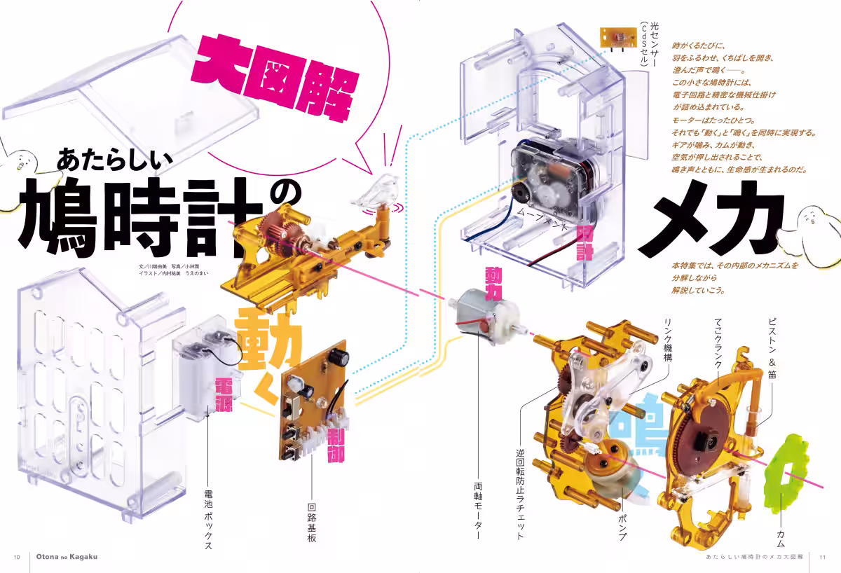 画像17