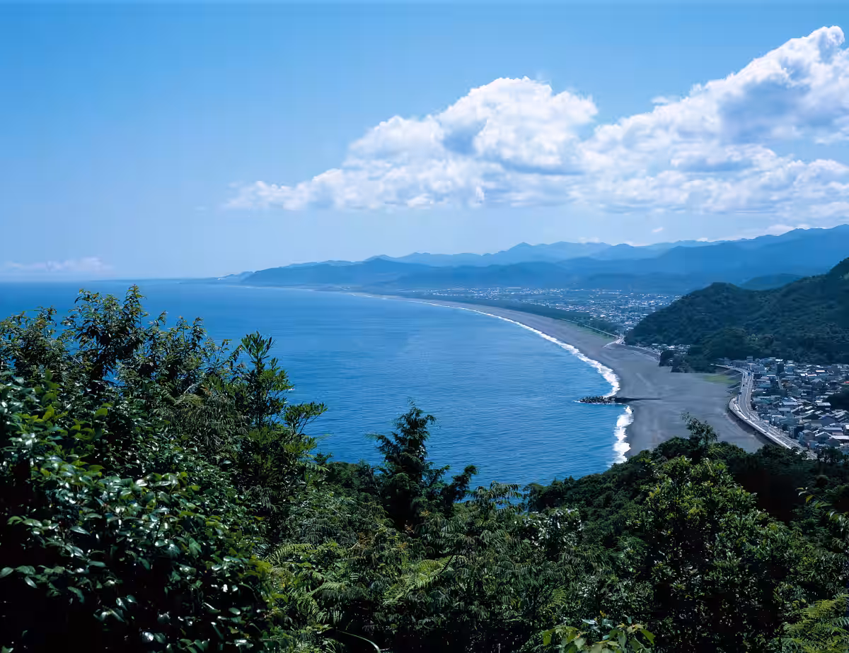 画像7