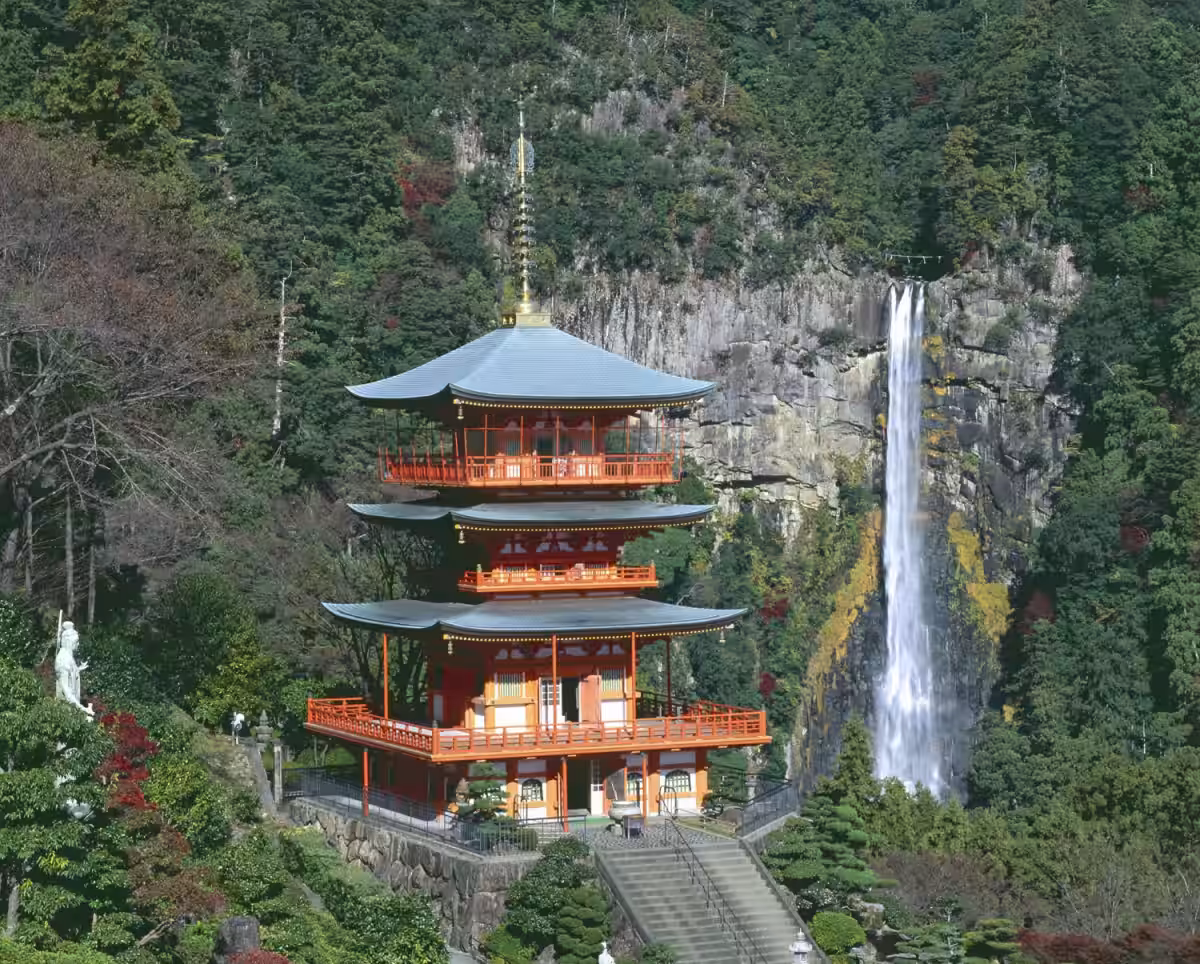 画像6