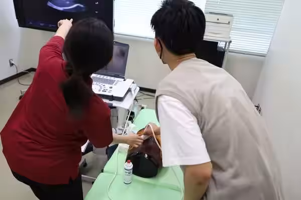 画像10