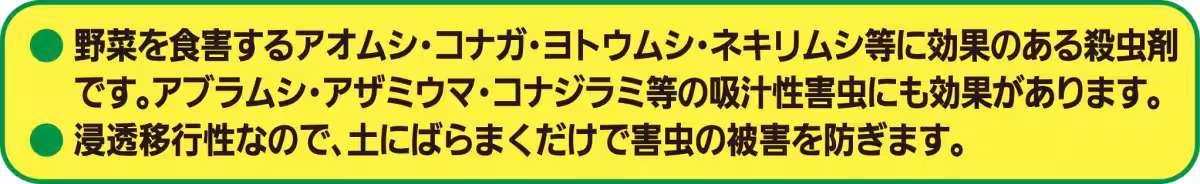 画像11