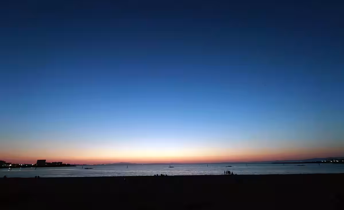 画像14