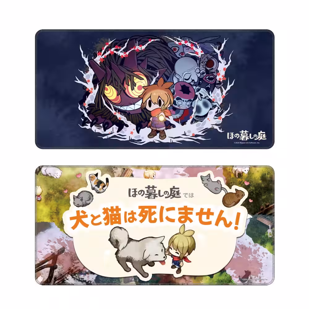 画像7