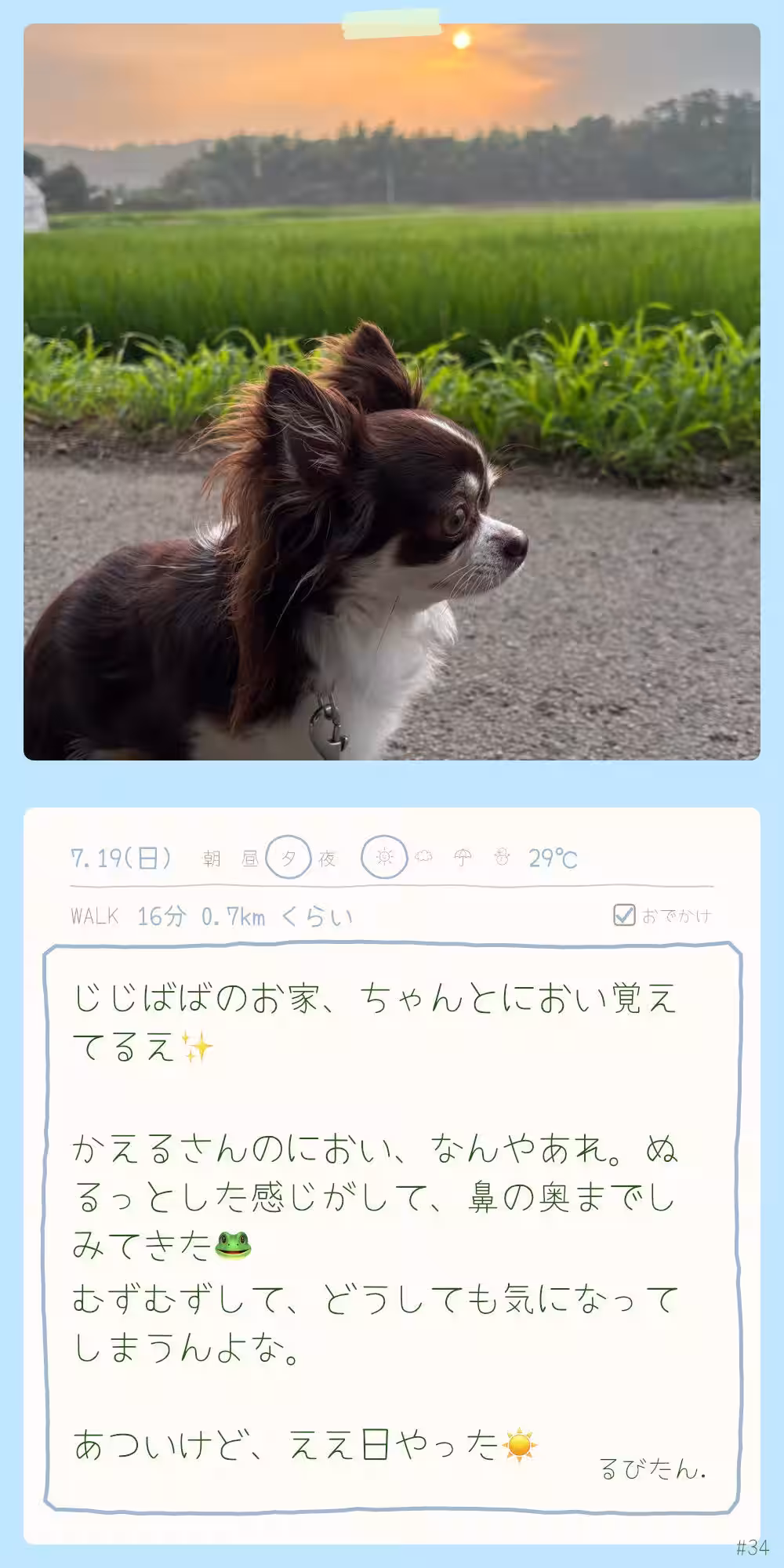 画像15