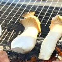 飯綱高原BBQ