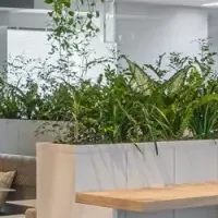 屋内緑化コンクール受賞
