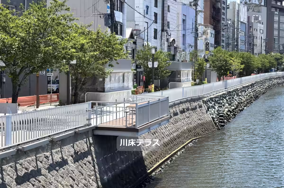 画像8