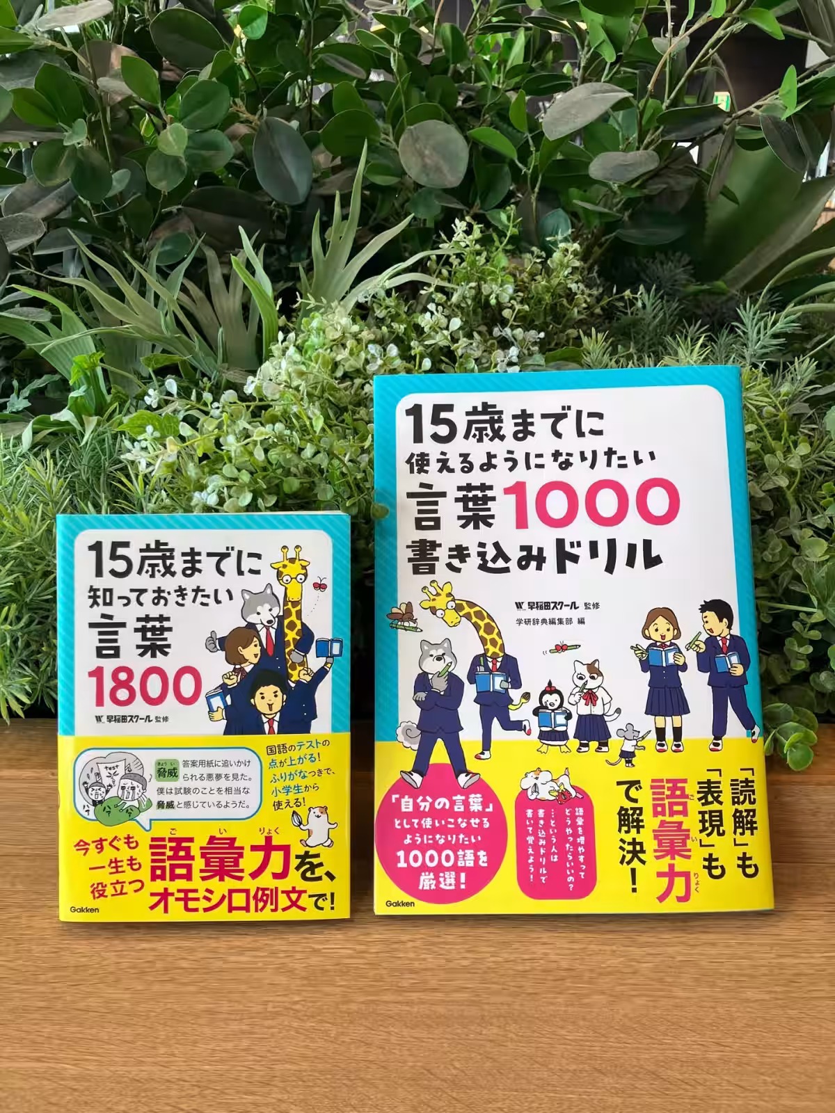 画像8