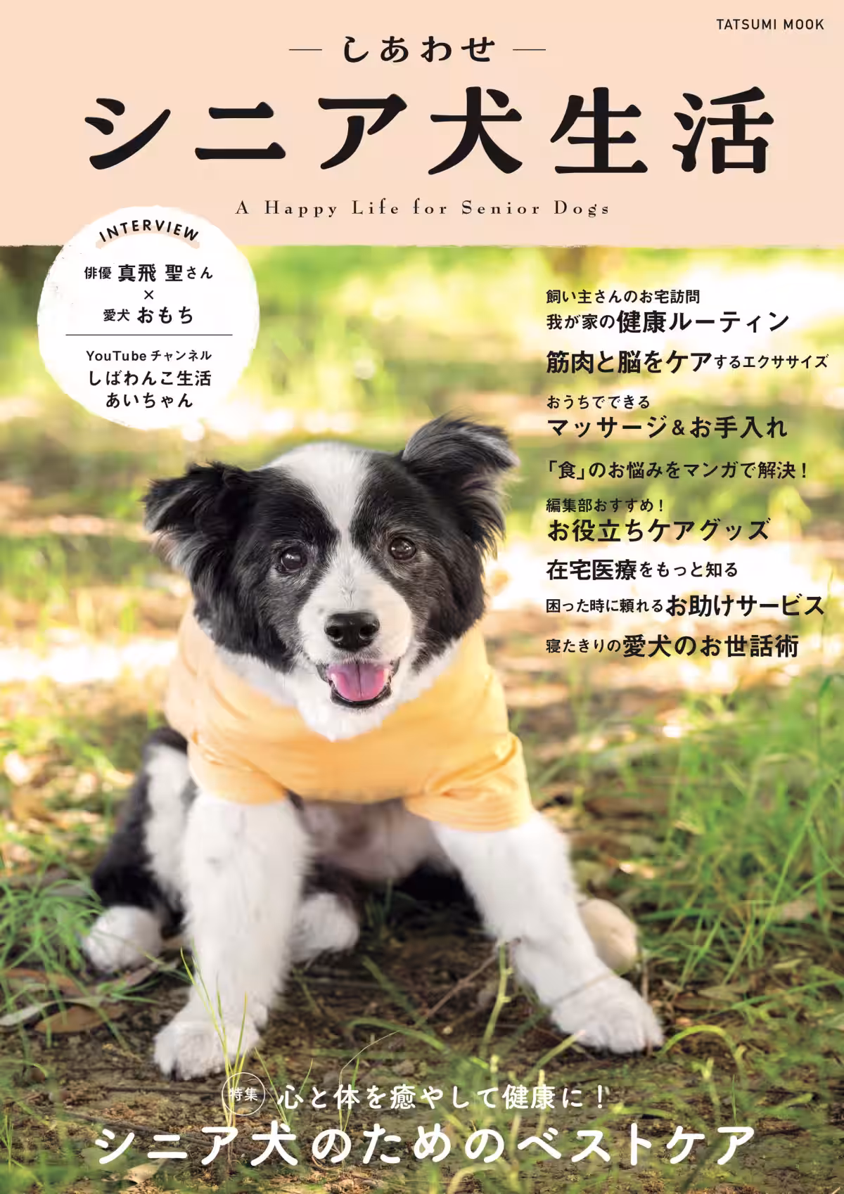 画像1