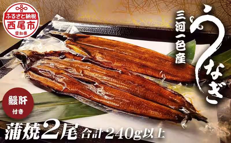画像17