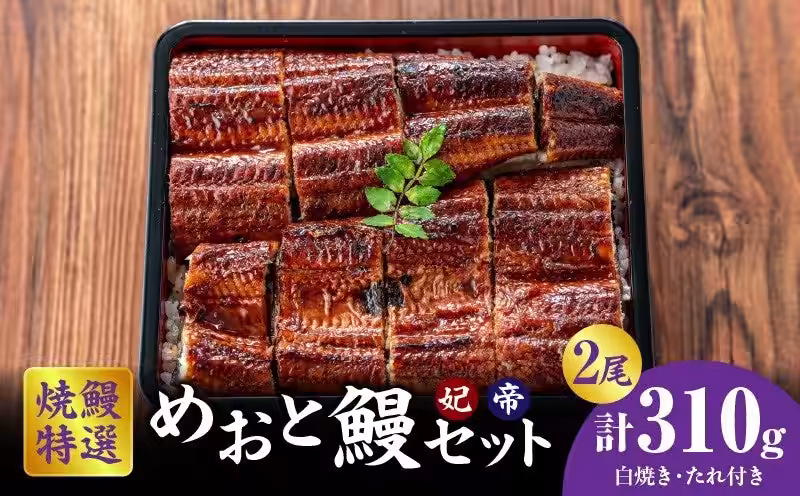画像19