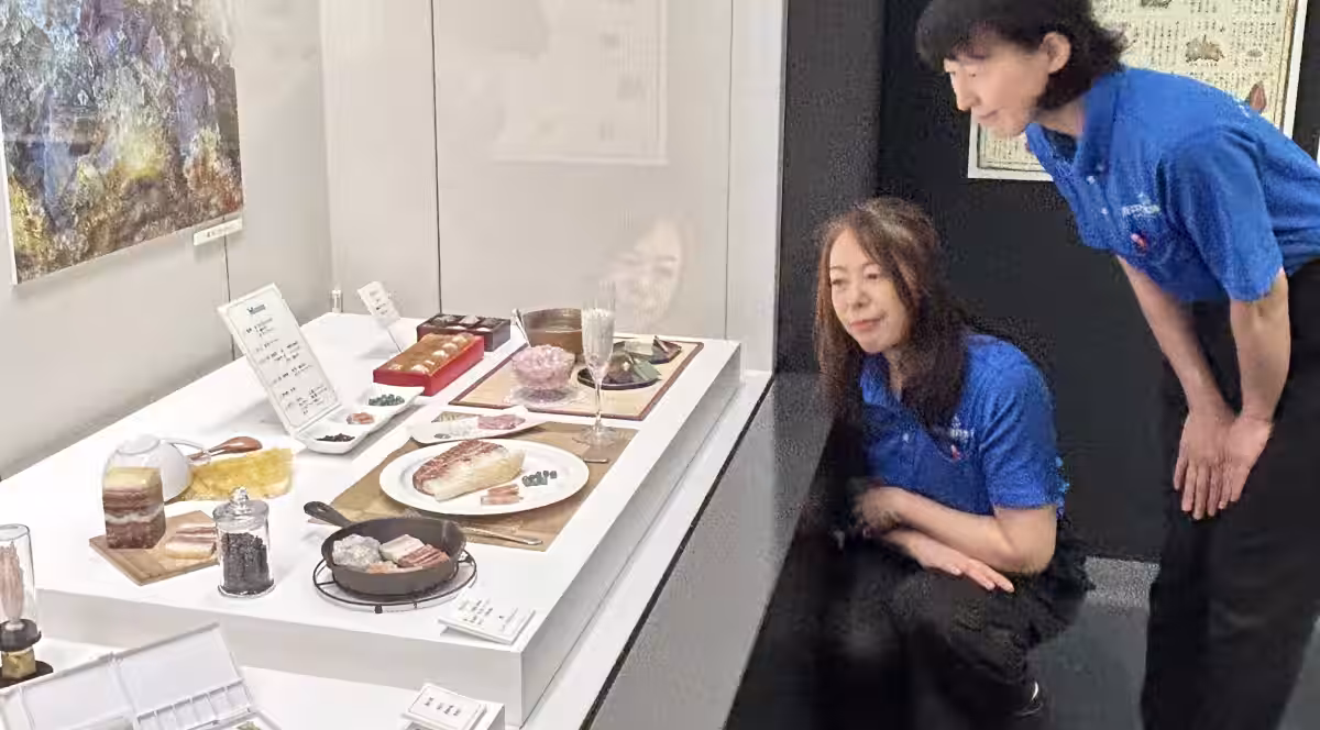 画像8
