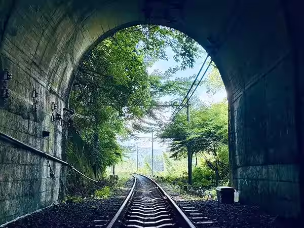 画像9