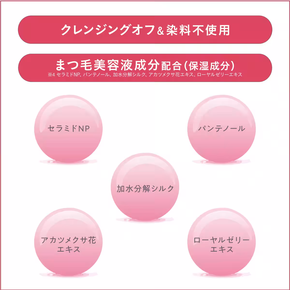 画像12
