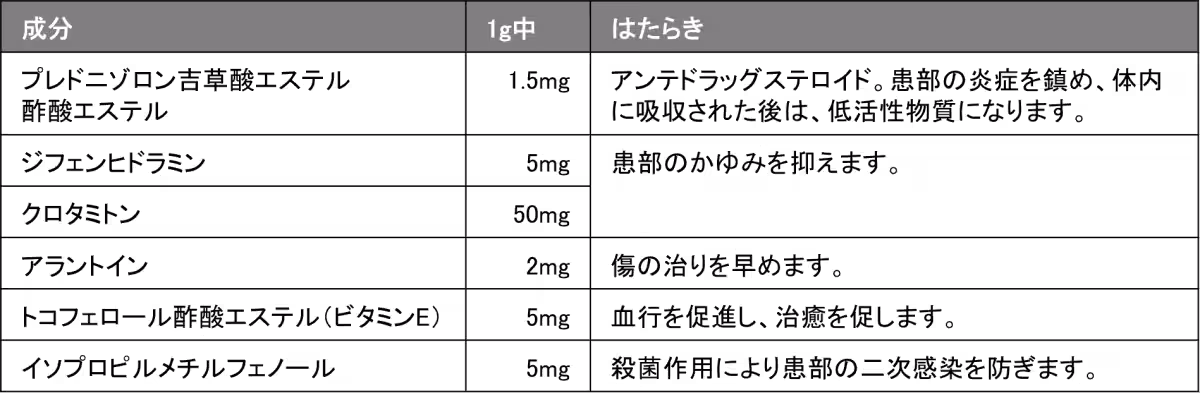 画像17