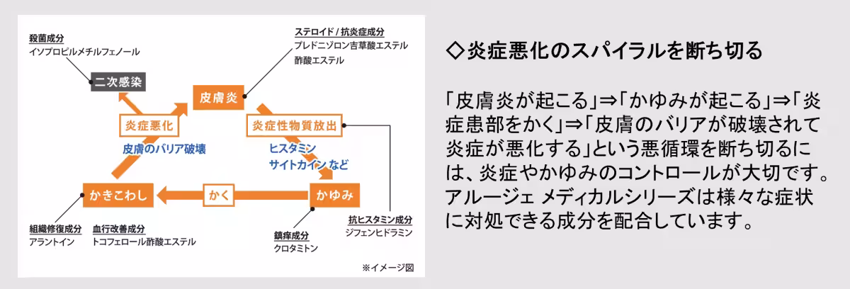 画像15