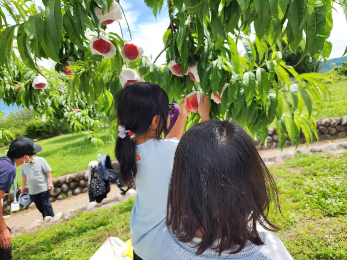 画像4