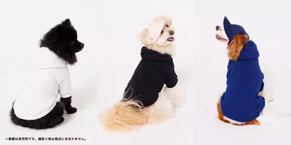 画像3