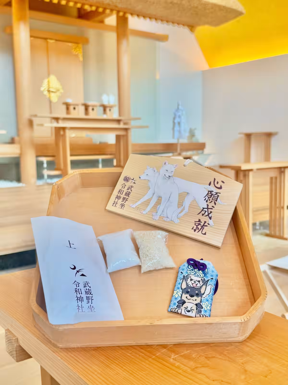 画像5