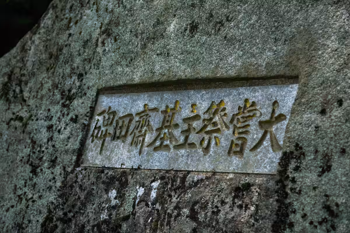 画像4
