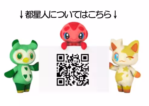 画像8