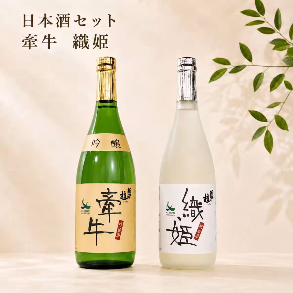 画像5