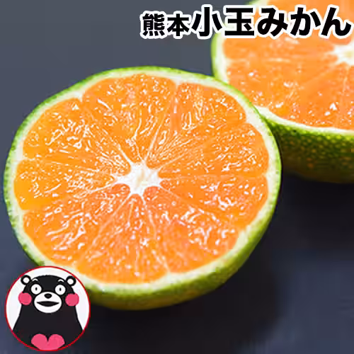 画像15