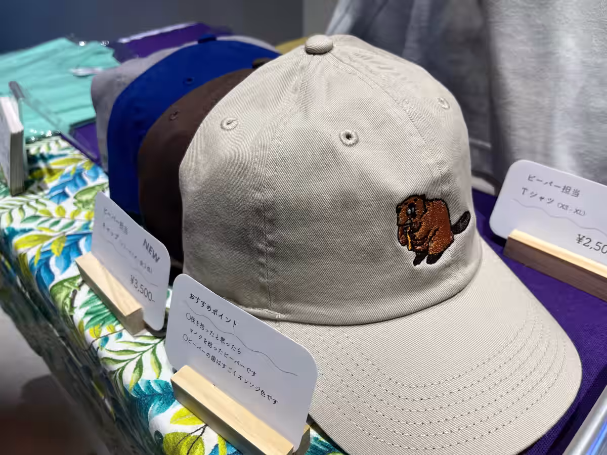 画像6