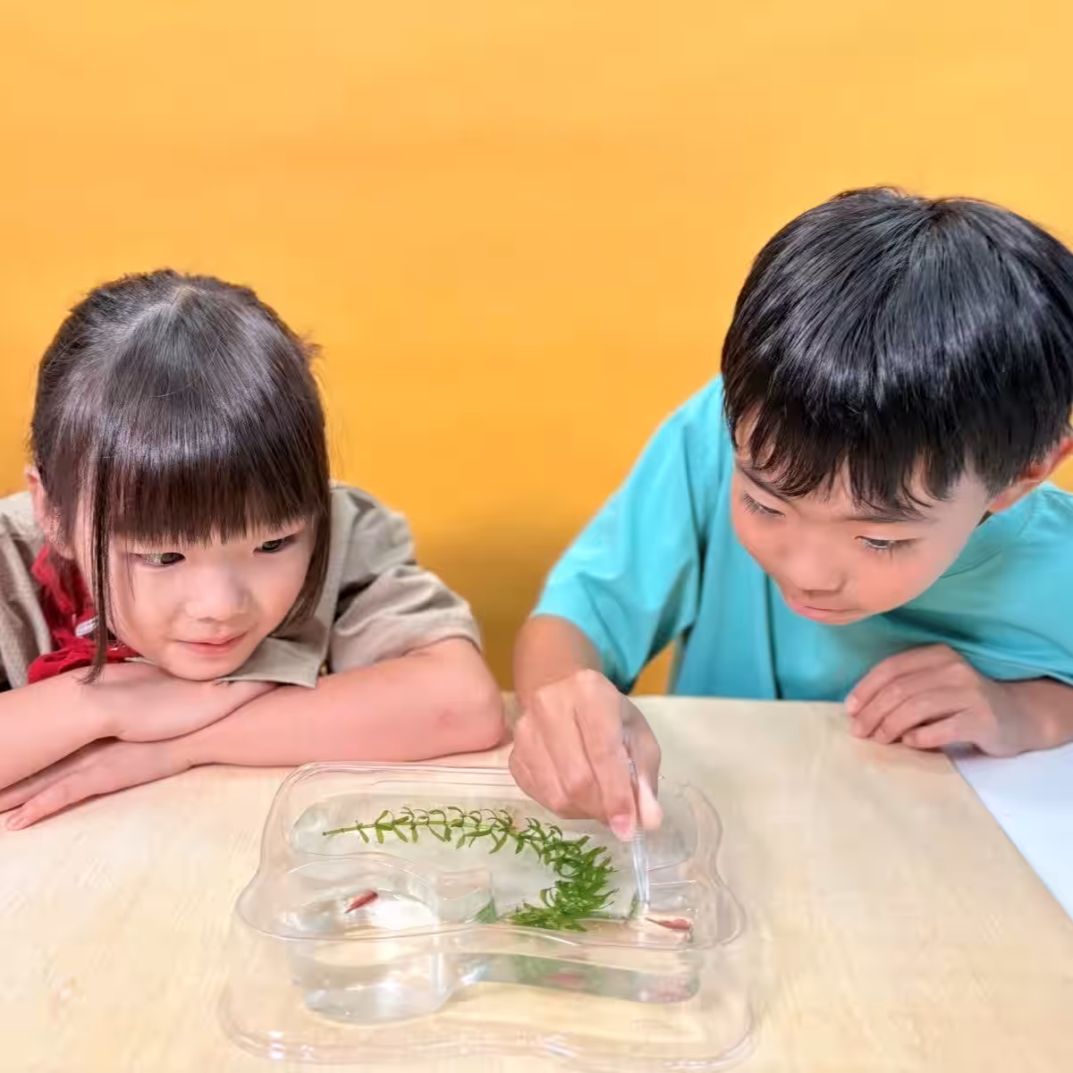 画像8