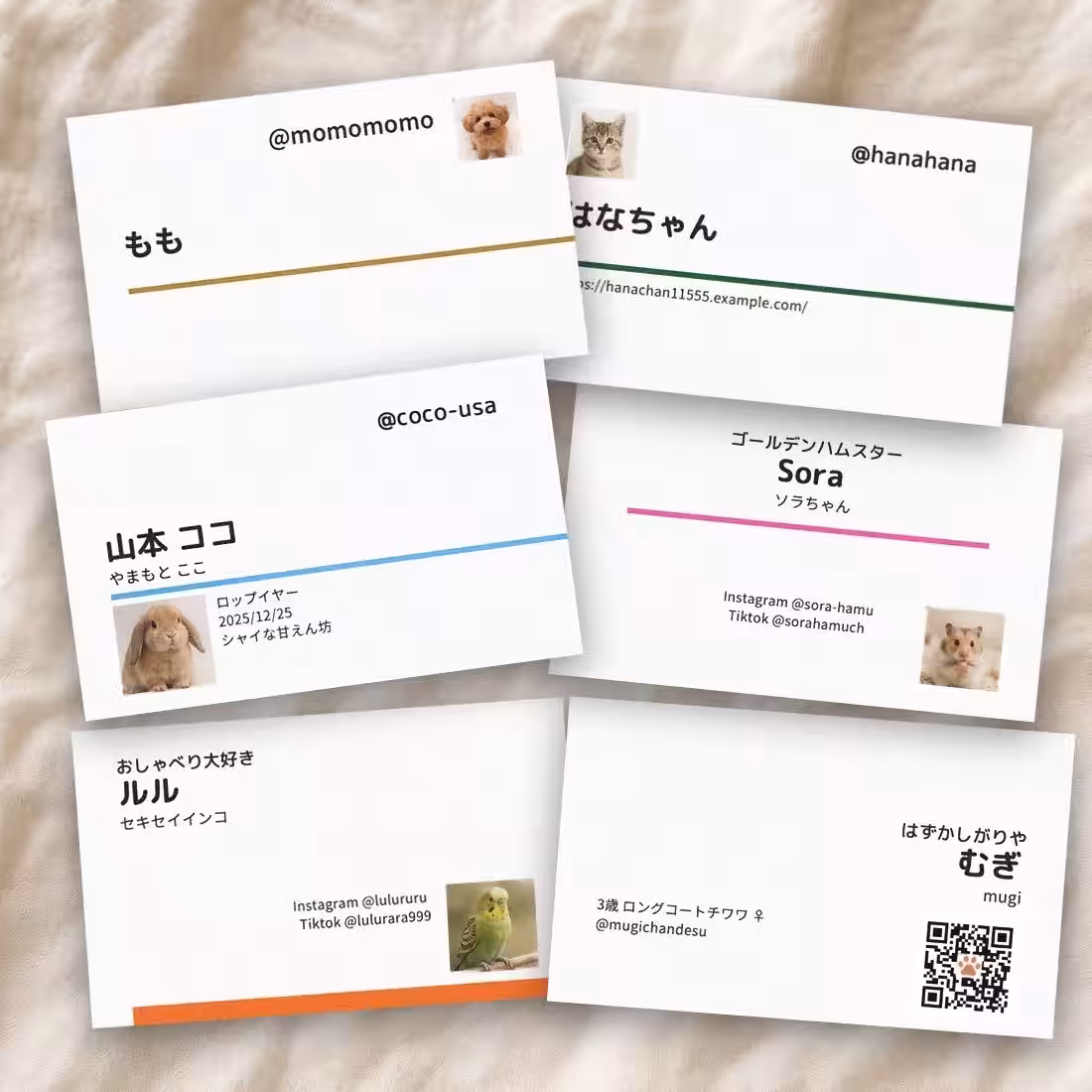 画像2