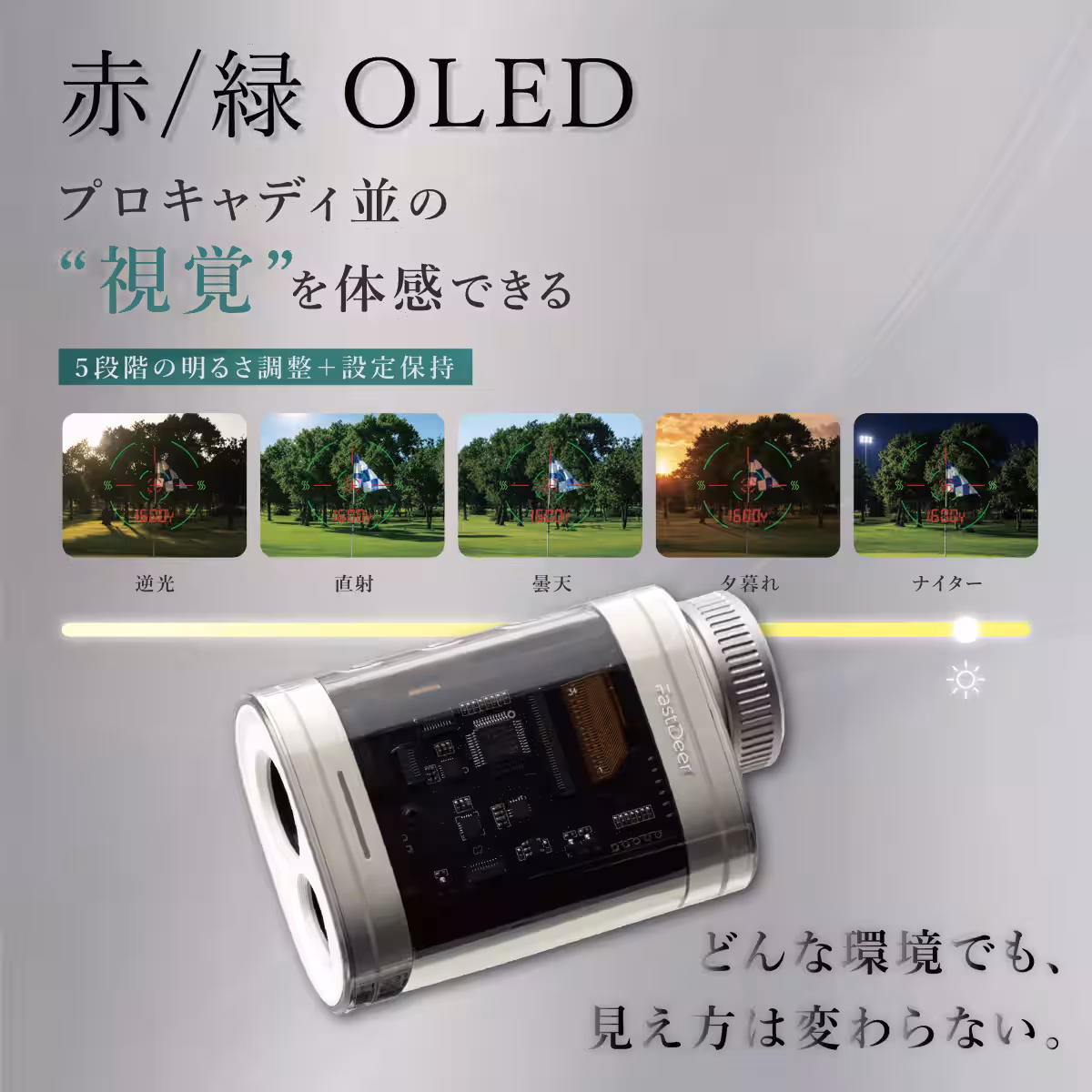 画像4