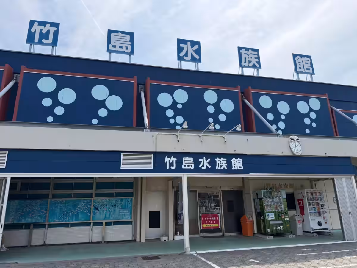画像7