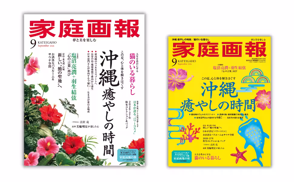 画像8