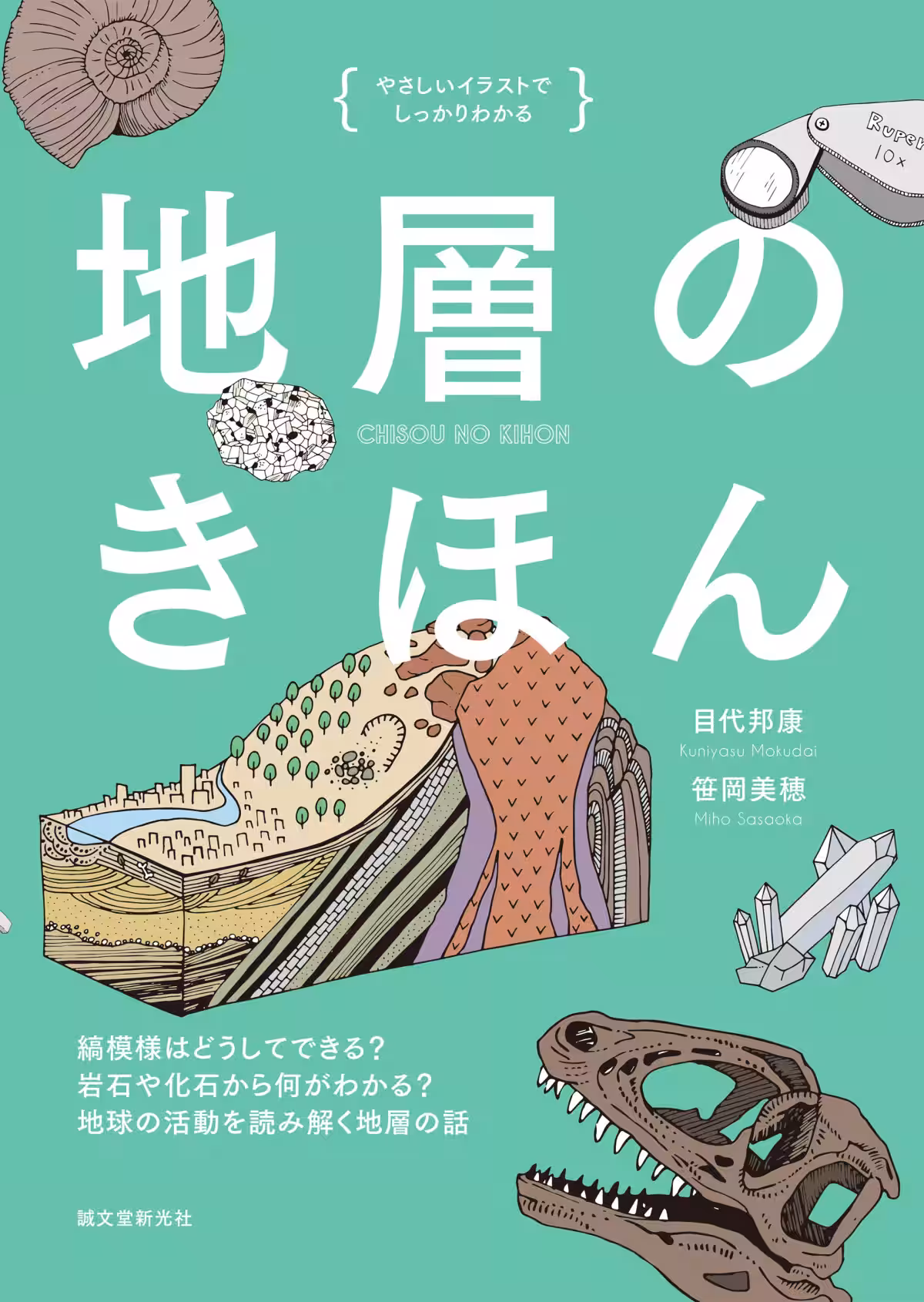 画像4