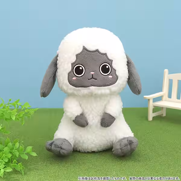 画像7