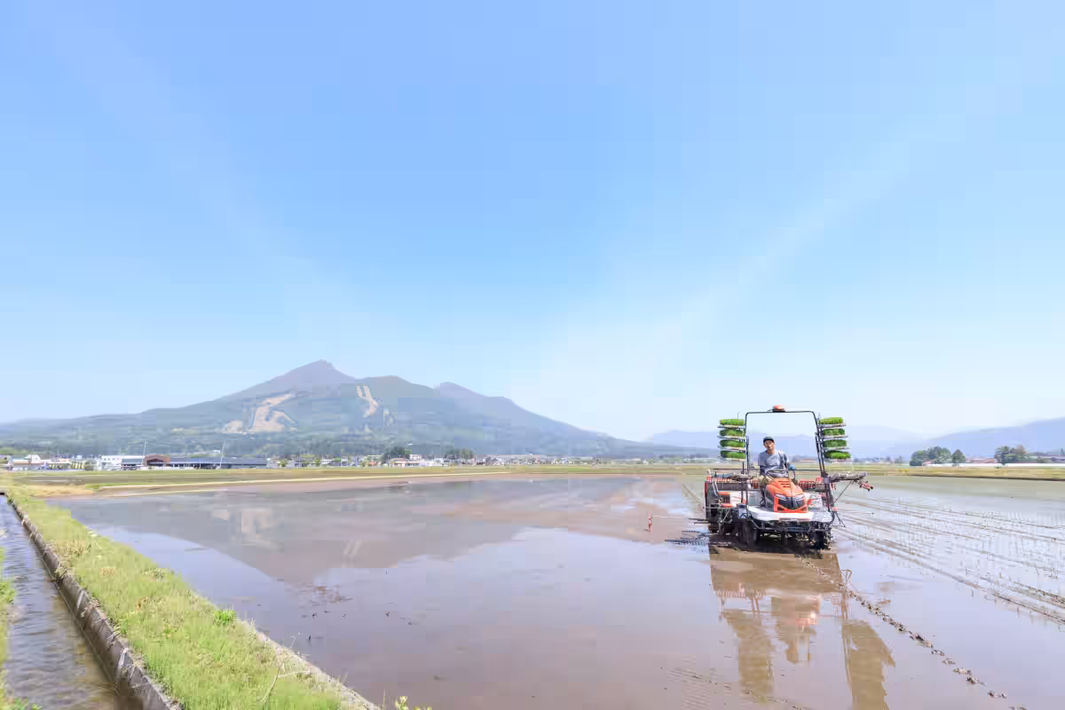 画像5