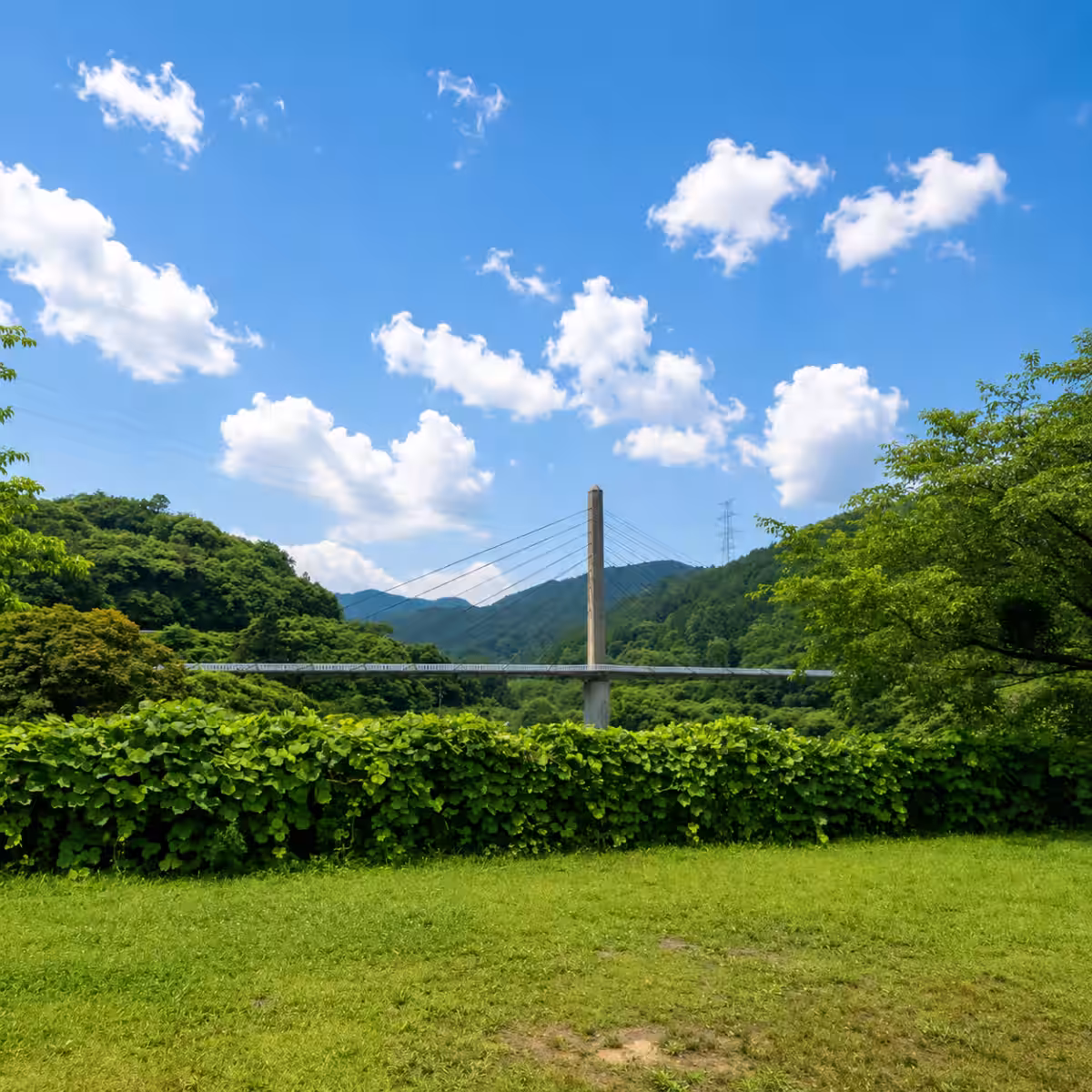 画像10