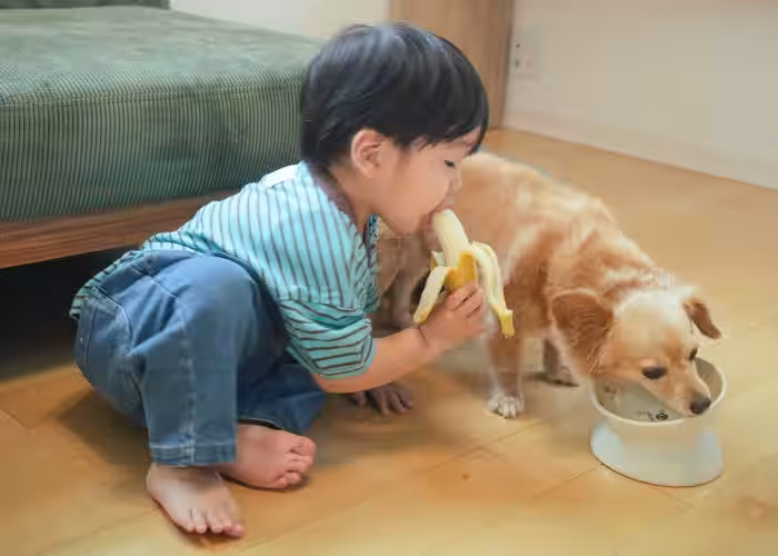 画像9