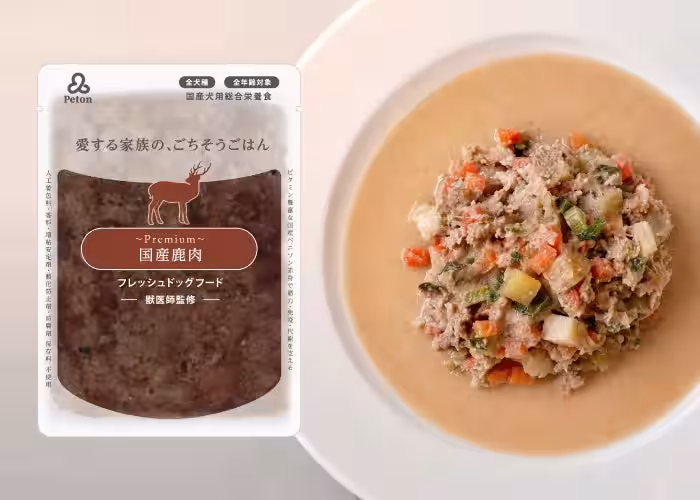 画像13