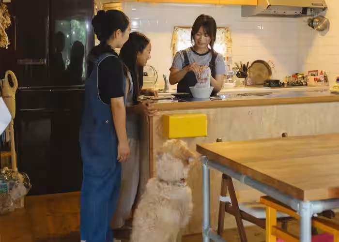 画像18