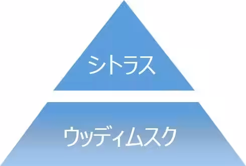 画像19